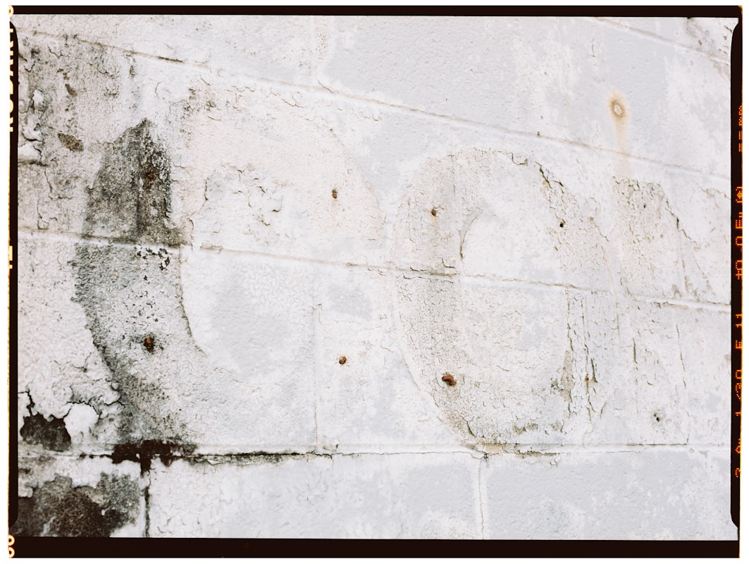 Water Extraction service in Albuquerque, NM